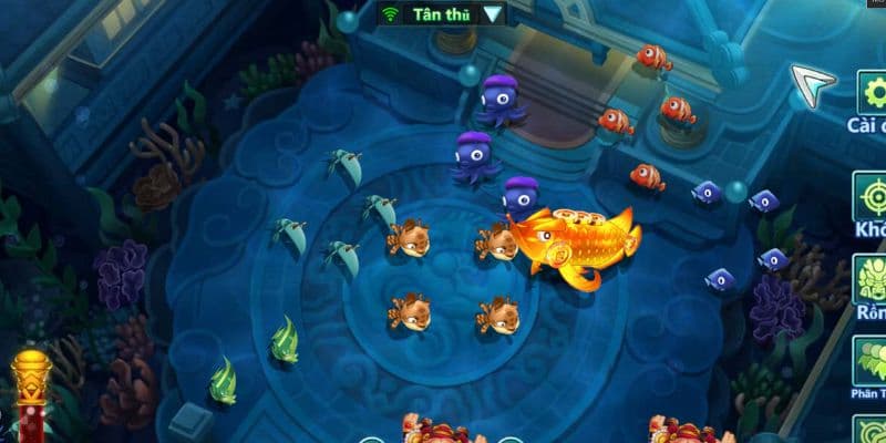 Bắn Cá Ăn Xu 33WIN - Tổng Quan Cách Chơi Cho Tân Thủ 2026 2 Thông tin tổng quan về game săn cá đổi xu